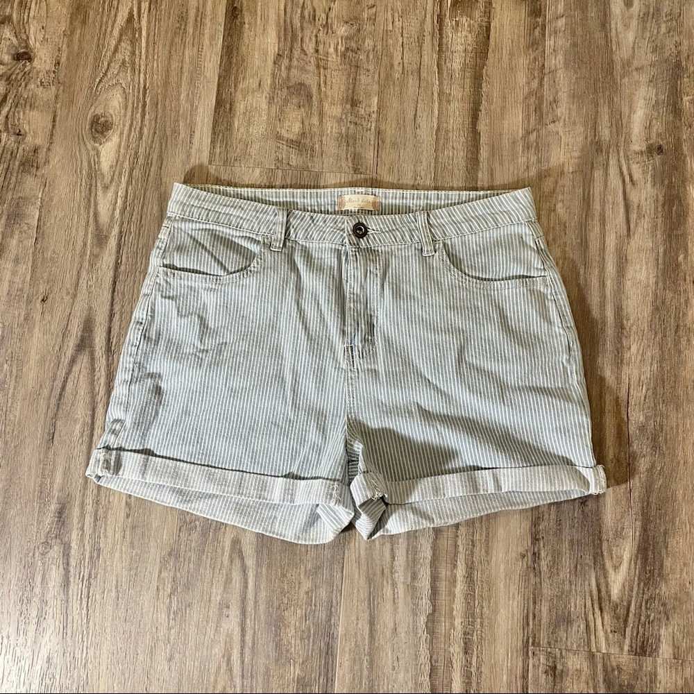 High waisted Alter’d State shorts SIZE 30